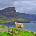 neist point