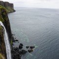 ORG_DSC02267