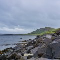 ORG_DSC02315