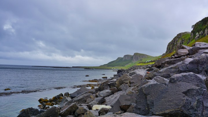 ORG_DSC02315