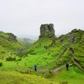 ORG_DSC02414