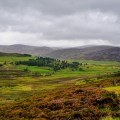 ORG_DSC03047