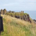 ORG_DSC03418